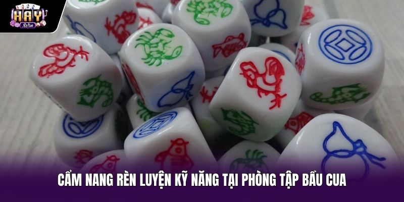 Rèn Luyện Kỹ Năng Tại Phòng Tập Bầu Cua Miễn Phí Rèn luyện kỹ năng cơ bản cùng chế độ bầu cua miễn phí