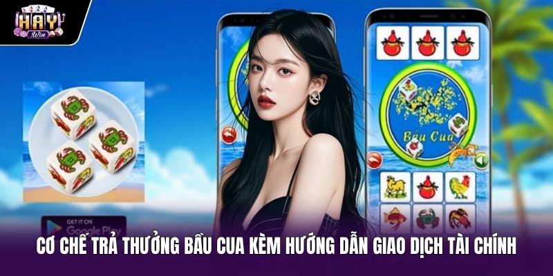 Cơ chế thanh toán sòng phẳng khi chơi Bầu cua haywin