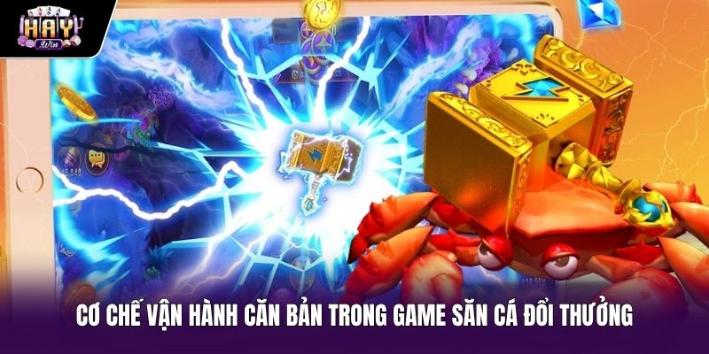 Chiến thuật bắn cá qua thuật toán và hitbox chuẩn xác