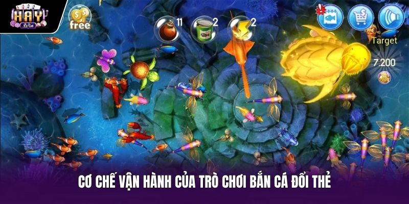 Quy chuẩn tích lũy điểm trong game bắn cá đổi thẻ