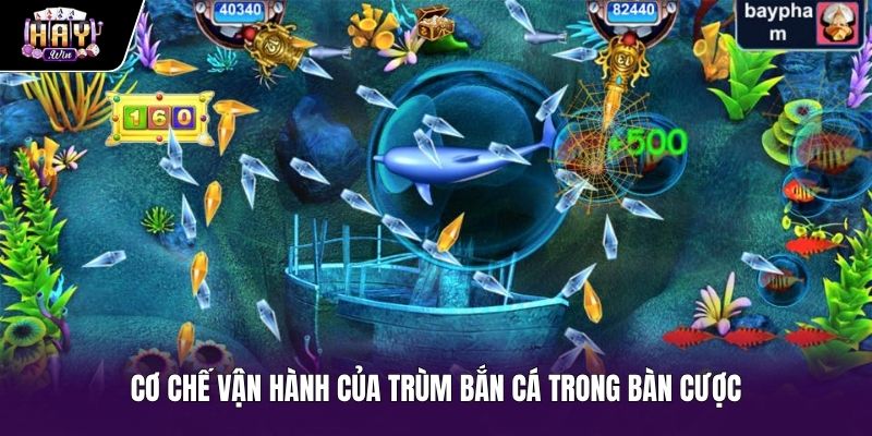 Thuật toán ngẫu nhiên và cơ chế bể máu Trùm bắn cá