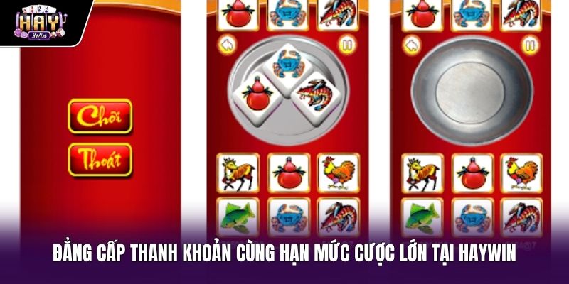 Đẳng cấp thanh khoản và hạn mức cược Bầu cua online Haywin Đặc quyền giao dịch không giới hạn tại sảnh bầu cua online