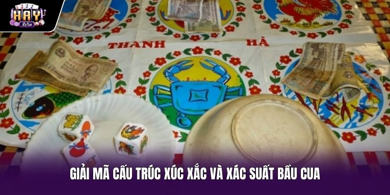 Quy luật không gian xúc xắc trong dự đoán bầu cua