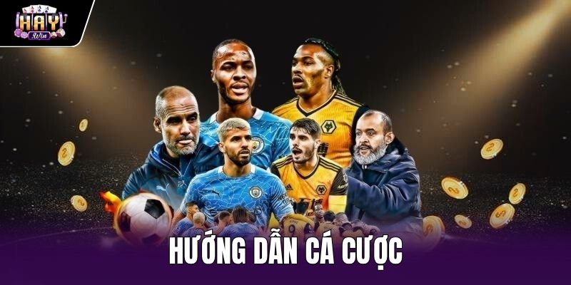 Hướng Dẫn Cá Cược - 4 Bước Đọc Kèo Và Đặt Lệnh Haywin