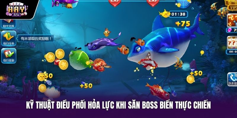 Mẹo săn cá mập qua nhịp bắn và góc ngắm chuẩn xác