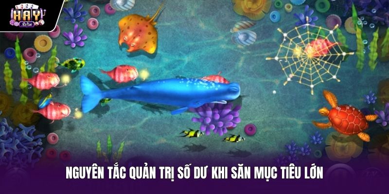 Mẹo săn cá mập cùng hạn mức đạn bảo vệ số dư