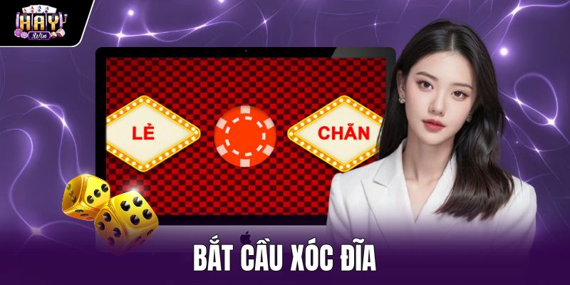 Bắt Cầu Xóc Đĩa - Phân Tích Xác Suất Bảng Vị Tại Haywin