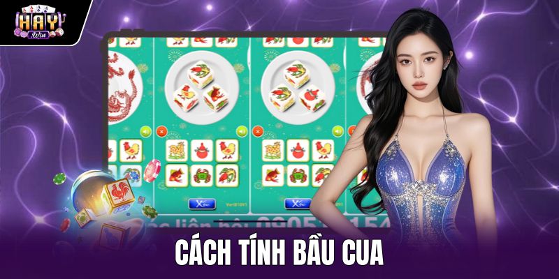 Cách Tính Bầu Cua - Công Thức Thanh Toán Chuẩn Haywin