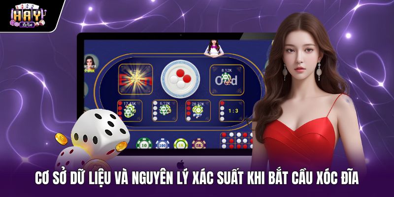 Bắt cầu xóc đĩa qua bảng vị và nguyên lý xác suất