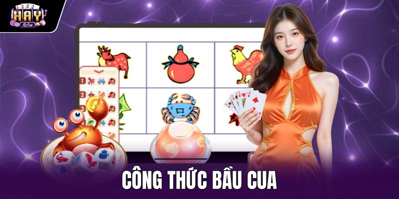 Công Thức Bầu Cua - Giải Mã Xác Suất Thực Tế Tại Haywin
