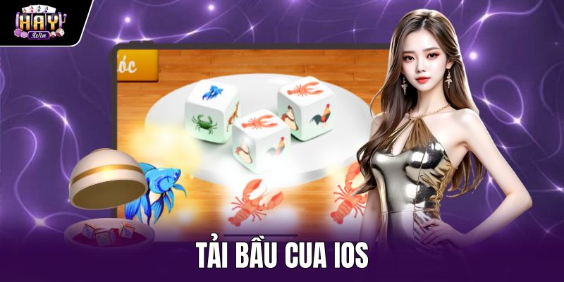 Tải Bầu Cua iOS - Hướng Dẫn Cài Đặt An Toàn Tại Haywin