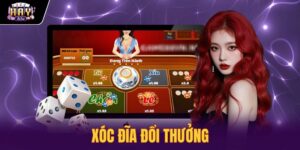 Xóc Đĩa Đổi Thưởng Haywin - Bảng Tỷ Lệ Và Quy Chuẩn Cược