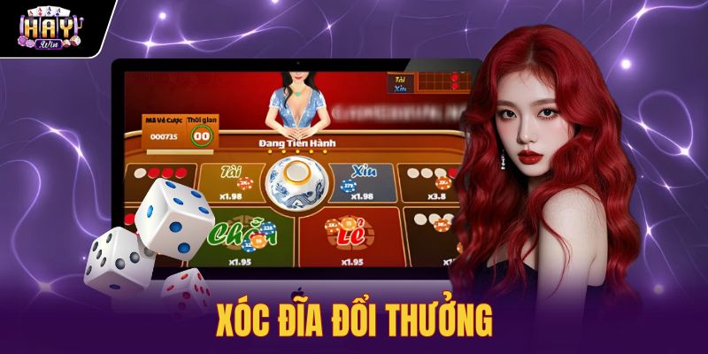Xóc Đĩa Đổi Thưởng Haywin - Bảng Tỷ Lệ Và Quy Chuẩn Cược